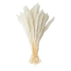 Farmlyn Creek 40 Pack Dried Natural White Pampas Grass With Ceramic Vase For Wedding, Rustic-Style Farmhouse Decor, 16 In -Home Improvement Store GUEST 0c4f0932 f48b 4d82 bd30 64e1a4f30060