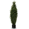 Forever Leaf 48" Cedar Boxwood In Black Pot (2 Pack), Indoor Artificial Plant For Home Decor