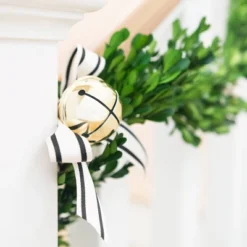 6ft Preserved Boxwood Garland - Sugar Paperâ„¢ + Target