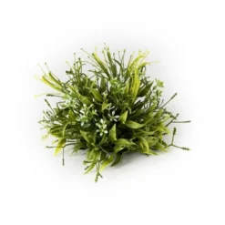 Sullivans Artificial Smilax Orb 5.5"H Green -Home Improvement Store GUEST 1d98a1e2 0e49 460d a088 e780608e60e3