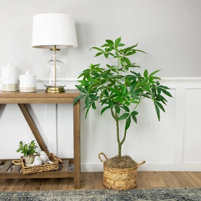 Northlight 4' Artificial Unbraided Potted Green Money Tree 1 Northlight 4' Artificial Unbraided Potted Green Money Tree