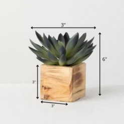 Sullivans Artificial Potted Succulent 6"H Green -Home Improvement Store GUEST 2475955d 8d42 4cc0 b718 bf3c5417b85f