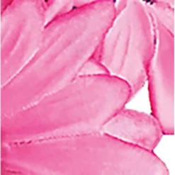 Collections Etc Black Eyed Susan Bushes Set 3 -Home Improvement Store GUEST 2952fa93 8b06 42f0 8941 544967c3d3c3