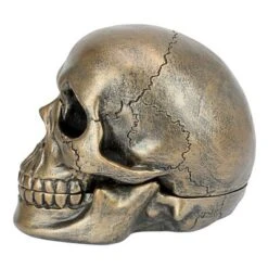 Design Toscano Memento Mori Skull Clock -Home Improvement Store GUEST 2c6f308e 76dd 449d 9285 878c21ae20cb