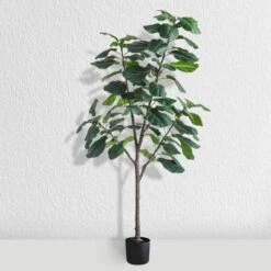 Forever Leaf 72" Artificial Fiddle Tree In Black Pot 3 Stem, Indoor Artificial Plant For Home Decor -Home Improvement Store GUEST 320a0cdb bf98 4de3 9dcd ab5f1d63c72e