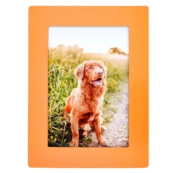 Juvale 15-Pack 4x6 Magnetic Picture Frames For Refrigerator, Locker, Office, Kitchen Cabinet, Classroom, Holds 4x6 Photos, 5 Colorful Borders -Home Improvement Store GUEST 34c2f69c b58a 4f01 99b5 434f35918508