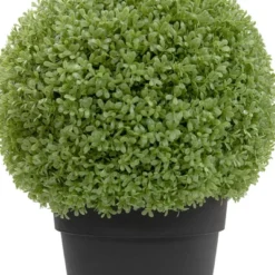Northlight 22" Artificial Boxwood Ball Topiary In Round Pot, Unlit -Home Improvement Store GUEST 367a9006 0a07 4ebd a2fe 3e22c2f8f783