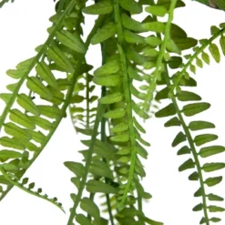 Northlight 18" Artificial Fern Plant With Moss Ball And Hanging Jute Cord 9 Northlight 18" Artificial Fern Plant With Moss Ball And Hanging Jute Cord -Home Improvement Store GUEST 468a4889 20f3 4f51 87de a36c52f71fe3