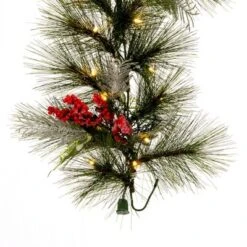 Vickerman Frosted Red Garlands -Home Improvement Store GUEST 4a387a7c 466a 4779 9f1c dde208d288a8