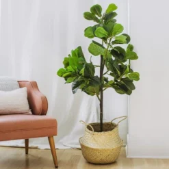 Forever Leaf 60" Artificial Fiddle Leaf Fig Tree With Black Pot, Indoor Artificial Plant For Home Decor -Home Improvement Store GUEST 4c41f880 c771 4593 9be8 f3da88632c0d