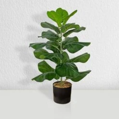 Forever Leaf 28" Artificial Fiddle Fig Leaf Plant In Black Pot, Indoor Artificial Plant For Home Decor 12 Forever Leaf 28" Artificial Fiddle Fig Leaf Plant In Black Pot, Indoor Artificial Plant For Home Decor -Home Improvement Store GUEST 4e70d887 f86d 4d32 ab5e 74d2bc6a11e1