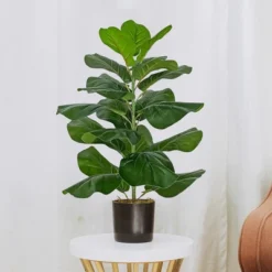 Forever Leaf 28" Artificial Fiddle Fig Leaf Plant In Black Pot, Indoor Artificial Plant For Home Decor 9 Forever Leaf 28" Artificial Fiddle Fig Leaf Plant In Black Pot, Indoor Artificial Plant For Home Decor -Home Improvement Store GUEST 56b46fae c443 4f62 8bb5 44d49b4d5a80