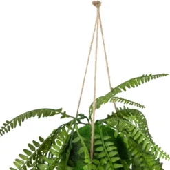 Northlight 18" Artificial Fern Plant With Moss Ball And Hanging Jute Cord 7 Northlight 18" Artificial Fern Plant With Moss Ball And Hanging Jute Cord -Home Improvement Store GUEST 5d0831f1 7f72 48be 9ffc 9cee800662e5