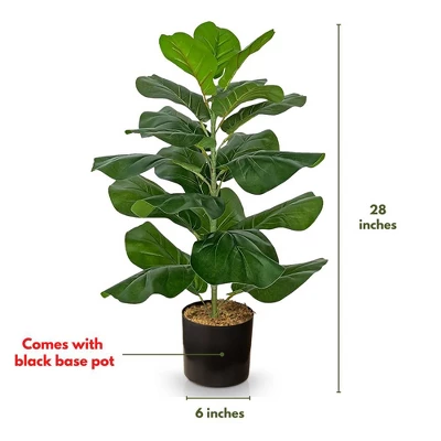 Forever Leaf 28" Artificial Fiddle Fig Leaf Plant In Black Pot, Indoor Artificial Plant For Home Decor 5 Forever Leaf 28" Artificial Fiddle Fig Leaf Plant In Black Pot, Indoor Artificial Plant For Home Decor - Image 5