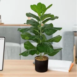 Forever Leaf 28" Artificial Fiddle Fig Leaf Plant In Black Pot, Indoor Artificial Plant For Home Decor 10 Forever Leaf 28" Artificial Fiddle Fig Leaf Plant In Black Pot, Indoor Artificial Plant For Home Decor -Home Improvement Store GUEST 61c160d2 1e52 4501 982d 95b9252176ba