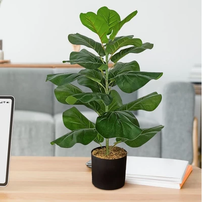 Forever Leaf 28" Artificial Fiddle Fig Leaf Plant In Black Pot, Indoor Artificial Plant For Home Decor 4 Forever Leaf 28" Artificial Fiddle Fig Leaf Plant In Black Pot, Indoor Artificial Plant For Home Decor - Image 4
