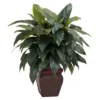 Nearly Natural Cordyline W/Decorative Vase Silk Plant