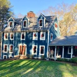 Northlight 24" Unlit Canadian Pine Artificial Christmas Wreath -Home Improvement Store GUEST 6cca1dfc a278 43b6 ab26 36d525bf9ff4