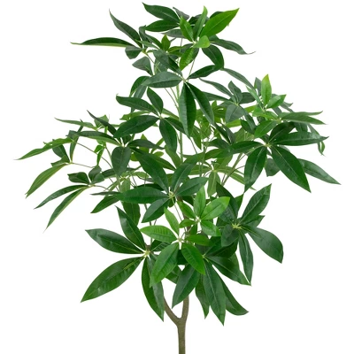 Northlight 4' Artificial Unbraided Potted Green Money Tree 2 Northlight 4' Artificial Unbraided Potted Green Money Tree - Image 2