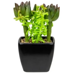 Northlight 6" Potted Green Artificial Succulent Arrangement -Home Improvement Store GUEST 7047a777 7b19 417f 8e92 9b4b2a6a2f3a