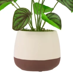 Northlight 10.25" Artificial Peperomia Plant In Two-Tone Ceramic Pot -Home Improvement Store GUEST 9717fb24 19da 4293 a814 8ab59c4b7a8b