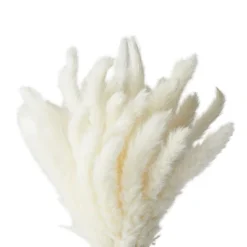 Farmlyn Creek 40 Pack Dried Natural White Pampas Grass With Ceramic Vase For Wedding, Rustic-Style Farmhouse Decor, 16 In -Home Improvement Store GUEST a2450c58 d5aa 4eea 9f55 806008917cdc