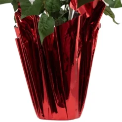 Northlight 26" White Artificial Christmas Poinsettia In Red Wrapped Base -Home Improvement Store GUEST a5ffe649 2329 412d b16f 13139f8caa12