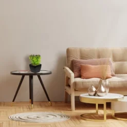 Northlight 6" Potted Green Artificial Succulent Arrangement -Home Improvement Store GUEST ae2c30e8 8b70 43e0 949f dd62ca0dae23