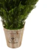 3' Cedar Artificial Plant In Barrel Planter - Nearly Natural
