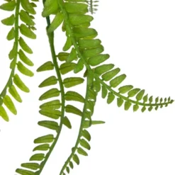 Northlight 18" Artificial Fern Plant With Moss Ball And Hanging Jute Cord 8 Northlight 18" Artificial Fern Plant With Moss Ball And Hanging Jute Cord -Home Improvement Store GUEST bb6edb2d bc56 4974 8131 837b66228aaf