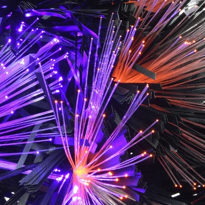 National Tree Company 9 Ft. Black Fiber Optic Garland With Purple And Orange Lights 2 National Tree Company 9 Ft. Black Fiber Optic Garland With Purple And Orange Lights - Image 2