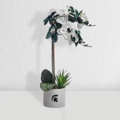Forever Leaf Michigan State Faux Orchid, Indoor Artificial Plant For Home Decor 11 Forever Leaf Michigan State Faux Orchid, Indoor Artificial Plant For Home Decor -Home Improvement Store GUEST bf27a490 5250 4b44 929c f4b8382ea01c