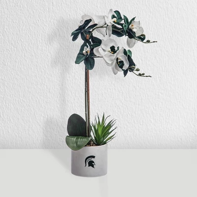 Forever Leaf Michigan State Faux Orchid, Indoor Artificial Plant For Home Decor 5 Forever Leaf Michigan State Faux Orchid, Indoor Artificial Plant For Home Decor - Image 5