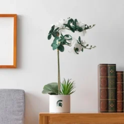 Forever Leaf Michigan State Faux Orchid, Indoor Artificial Plant For Home Decor 9 Forever Leaf Michigan State Faux Orchid, Indoor Artificial Plant For Home Decor -Home Improvement Store GUEST c8f98faa c24d 41e1 926d 2f2ecb9e2fbc