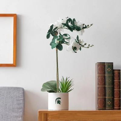 Forever Leaf Michigan State Faux Orchid, Indoor Artificial Plant For Home Decor 3 Forever Leaf Michigan State Faux Orchid, Indoor Artificial Plant For Home Decor - Image 3