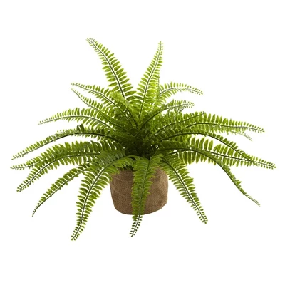 Boston Fern Plants In Burlap Planters Set Of 2 - Nearly Natural 1 Boston Fern Plants In Burlap Planters Set Of 2 - Nearly Natural