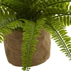 Boston Fern Plants In Burlap Planters Set Of 2 - Nearly Natural 5 Boston Fern Plants In Burlap Planters Set Of 2 - Nearly Natural -Home Improvement Store GUEST d1520911 1613 4ecf 9f0d c1c1398c95fd