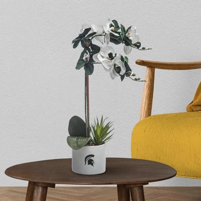 Forever Leaf Michigan State Faux Orchid, Indoor Artificial Plant For Home Decor 2 Forever Leaf Michigan State Faux Orchid, Indoor Artificial Plant For Home Decor - Image 2