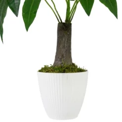 Northlight 18.5" Artificial Guiana Chestnut Plant In White Pot -Home Improvement Store GUEST da501613 743a 46ed 956a 71b001639a45