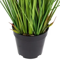 Northlight 27" Artificial Onion And Pampas Grass In Black Pot -Home Improvement Store GUEST e0067f15 ff84 4de9 bc74 7fc8d1c44bd9