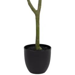 Northlight 4' Artificial Unbraided Potted Green Money Tree 11 Northlight 4' Artificial Unbraided Potted Green Money Tree -Home Improvement Store GUEST e07a198c 4d81 44ed 9a41 88abf5d8b9f8