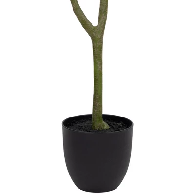 Northlight 4' Artificial Unbraided Potted Green Money Tree 6 Northlight 4' Artificial Unbraided Potted Green Money Tree - Image 6