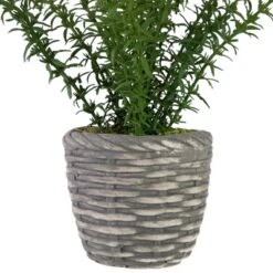Northlight Real Touch™ Artificial Thyme Plant In Gray Ceramic Pot - 15" -Home Improvement Store GUEST e0807bc0 cbcc 4971 ab81 0f3db54cb1a5
