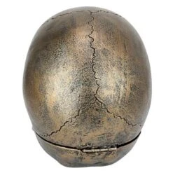 Design Toscano Memento Mori Skull Clock -Home Improvement Store GUEST e4314e03 e5b3 4a93 b9f1 68a1655ff0ef