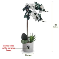 Forever Leaf Michigan State Faux Orchid, Indoor Artificial Plant For Home Decor 10 Forever Leaf Michigan State Faux Orchid, Indoor Artificial Plant For Home Decor -Home Improvement Store GUEST ec9f9aeb 377b 4aab 8542 a96b7de77509