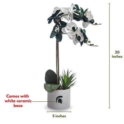 Forever Leaf Michigan State Faux Orchid, Indoor Artificial Plant For Home Decor 4 Forever Leaf Michigan State Faux Orchid, Indoor Artificial Plant For Home Decor - Image 4
