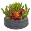Nearly Natural 12-in Succulent Garden Artificial Plant In Bowl