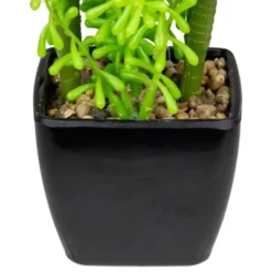 Northlight 6" Potted Green Artificial Succulent Arrangement -Home Improvement Store GUEST ef30f800 77f8 4321 8304 990ee01bb64a