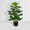 Forever Leaf 28" Artificial Fiddle Fig Leaf Plant In Black Pot, Indoor Artificial Plant For Home Decor