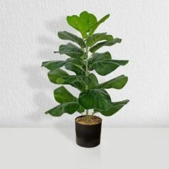 Forever Leaf 28" Artificial Fiddle Fig Leaf Plant In Black Pot, Indoor Artificial Plant For Home Decor